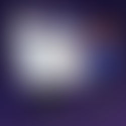 הנכס הדיגיטלי שרוב העסקים הקטנים מפספסים