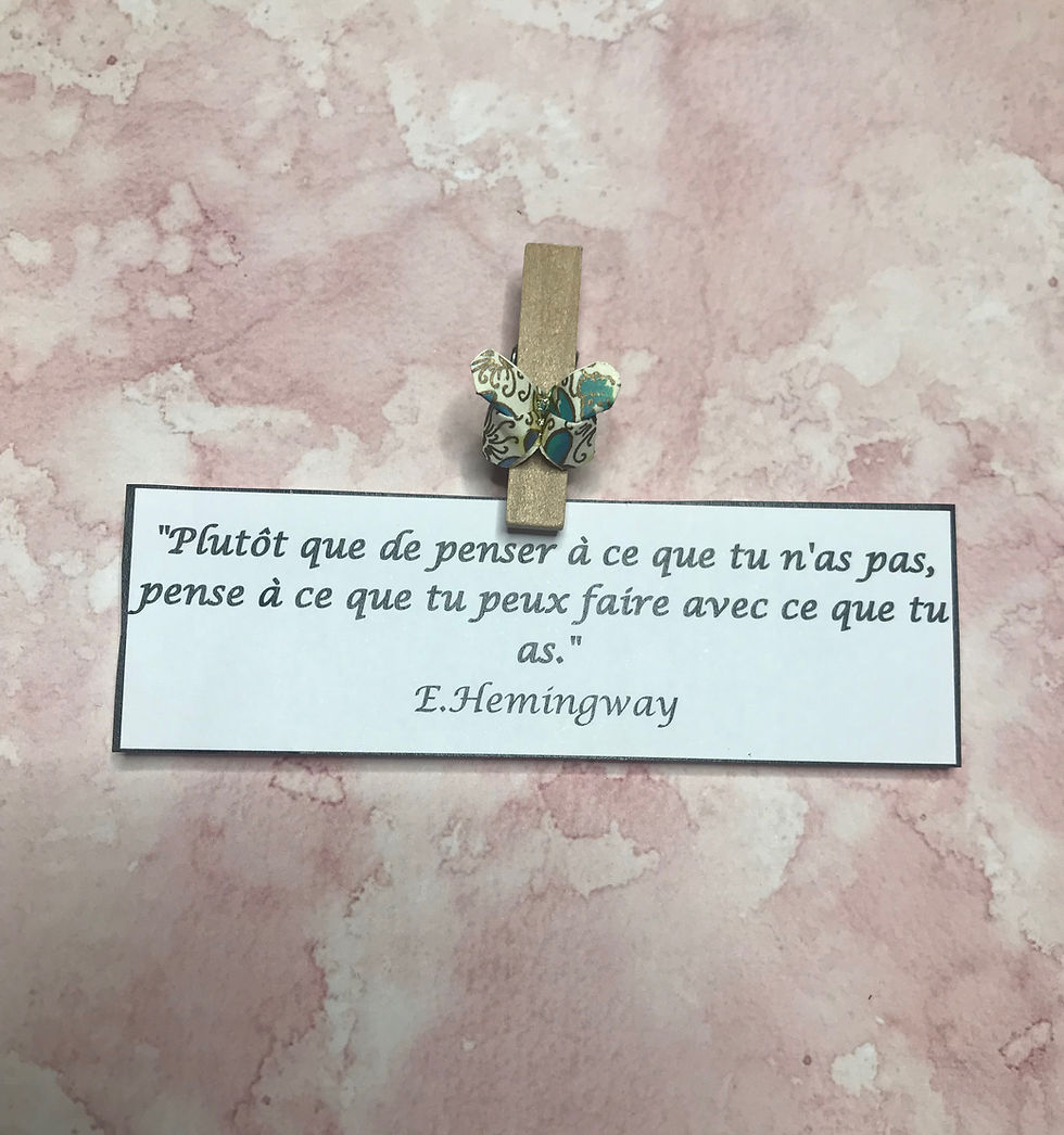 Miniature : Boite de Pinces Roses et bleus