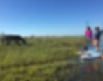 paddle boarding Cumberland Island