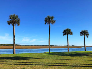 Amazing Paddles on Amelia Island - No. 11 Kingsley Plantation