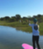 Guided paddle boarding tour with wild horses
