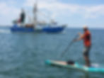 paddle boarding rentals and tours