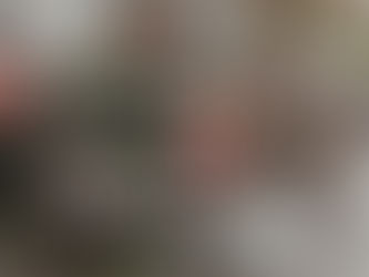 Botanical Oils:  Rosehip Oil