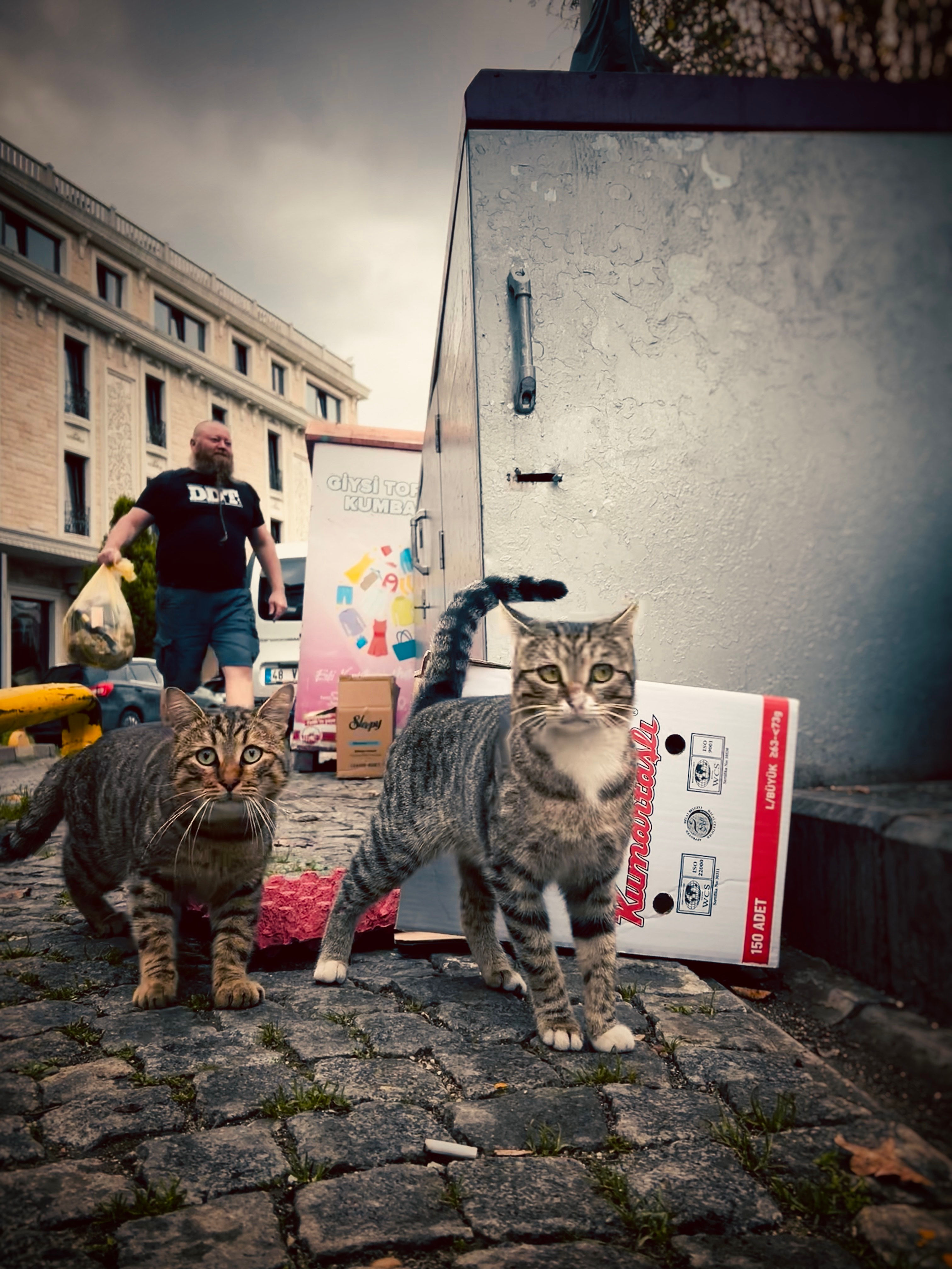 Lords of the Streets