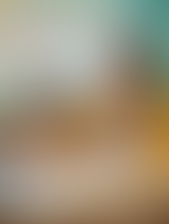 Preparing for the Next Licensing Review: Why Educated Staff Strengthen Childcare Programs