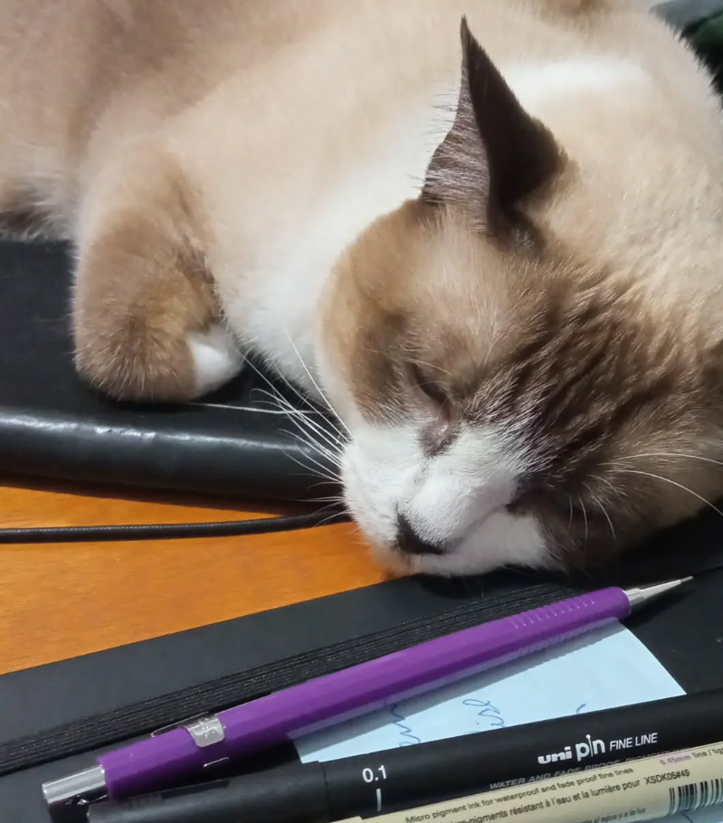 Nymeria é a nossa supervisora de tradução, por aqui.