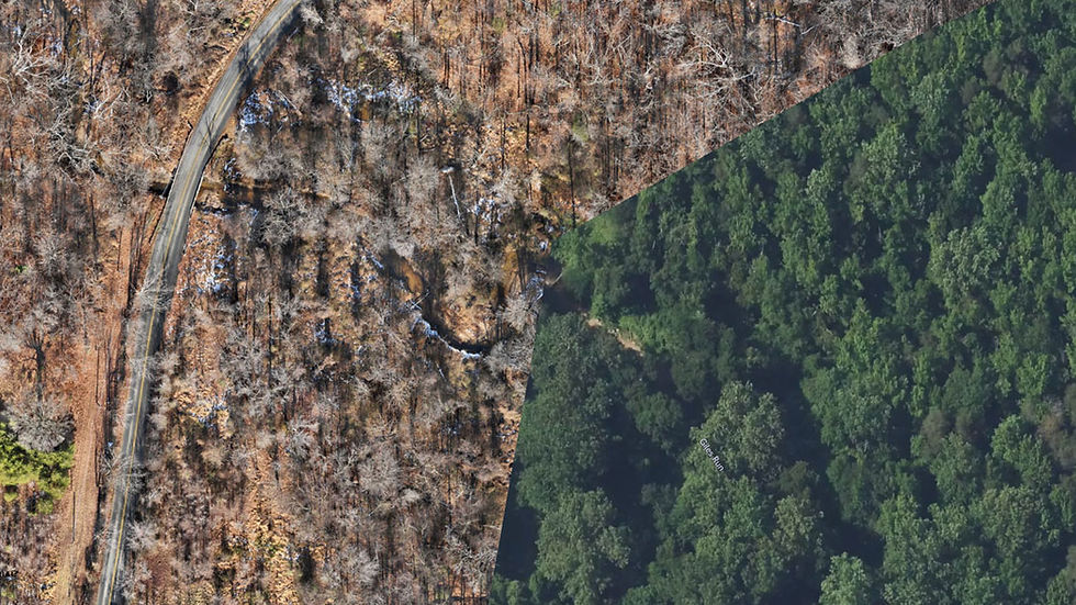 Drone survey showing more visibility in the winter months