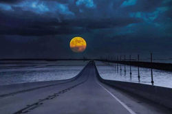 10660150_601211616656150_3279865027636037128_n