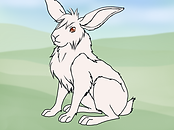 Albino.png