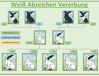 Vererbung