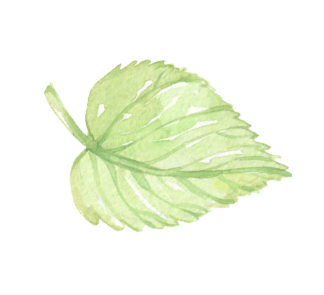Ein Blatt - Symbol der Natur um Schalkenmehren herum