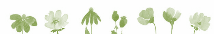 Blumenreihe grün.png