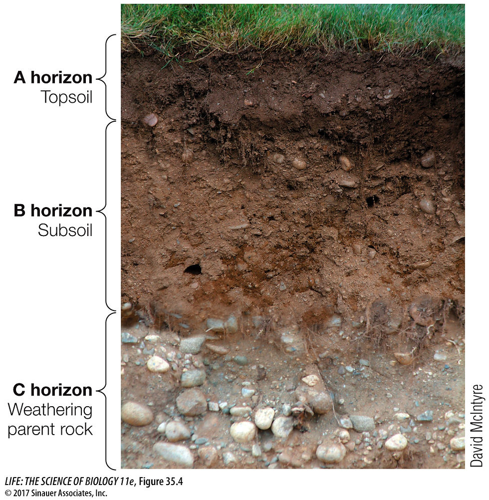 Soil Layers