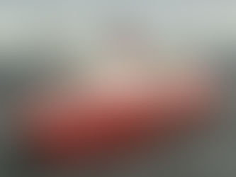 Case Studies of Polar Incidents and Lessons Learned: What the Arctic 10+ Would Have Changed