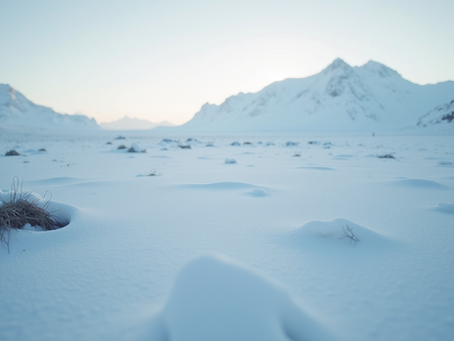 How to Prepare for Extreme Arctic Weather Challenges