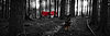 ChatGPT Image Jul 21, 2026, 06_19_40 PM_edited.jpg