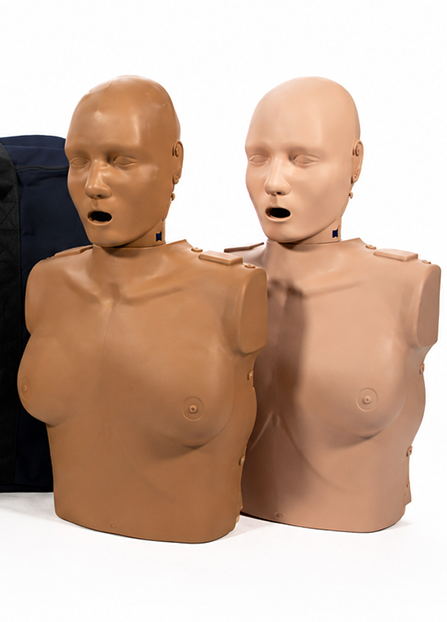 Two CPR training torsos in different skin on a white background.