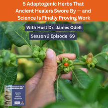 podcast episode cover art