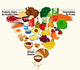 An image of the new 2026 USDA food guidelines