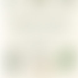 The Modern Herbal Dispensatory book cover