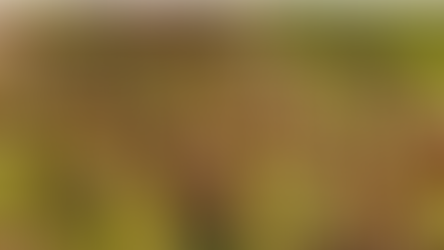 Tamarind and Fluoride