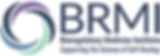 BRMI Logo