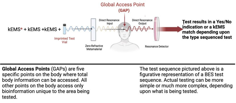 Global access points on the body