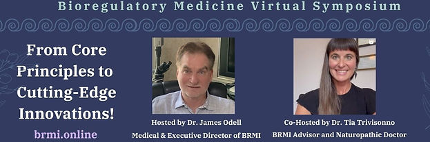 BRMI symposium (3).jpg