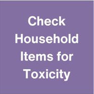 Check Household Items.JPG