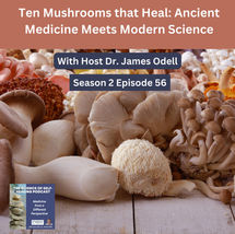 podcast cover art- 10 mushrooms that heal