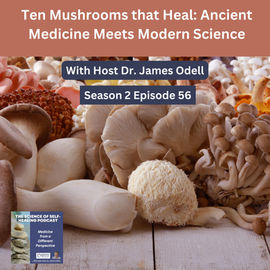 Ten Mushrooms that Heal: Ancient Medicine Meets Modern Science