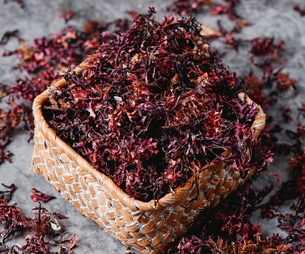 Irish sea moss