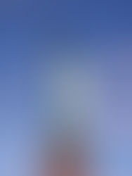 RESCULP: STATUE OF LIBERTY