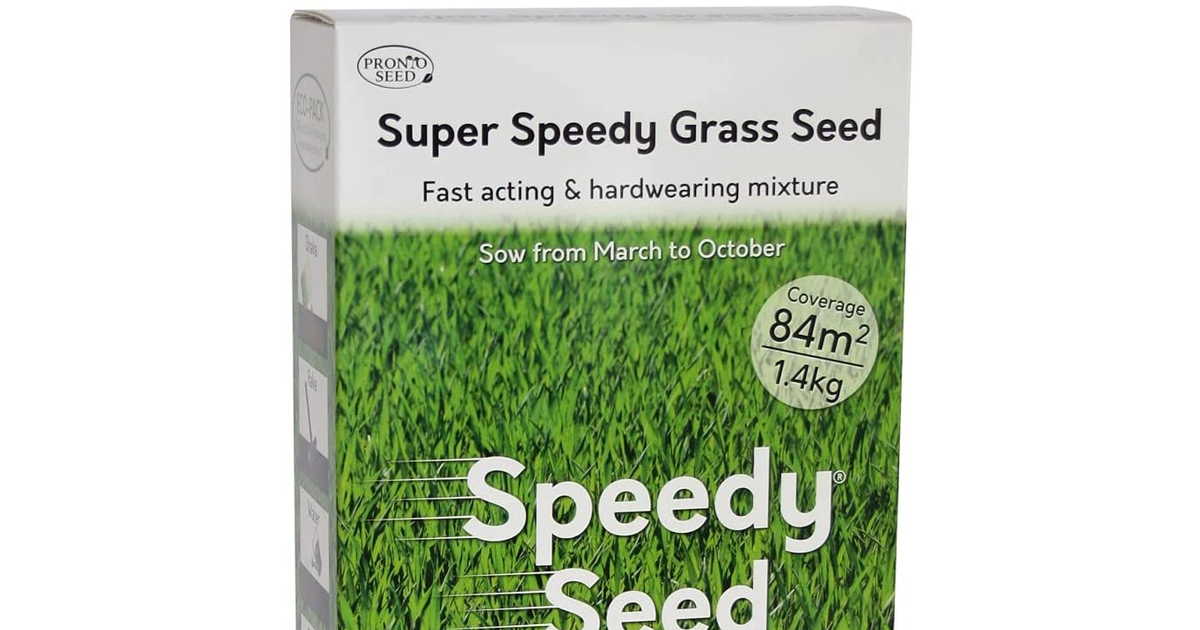 Grass Seed, 1.4KG Premium Quality 84 M2 Coverage for Overseeding, Fast Growing a