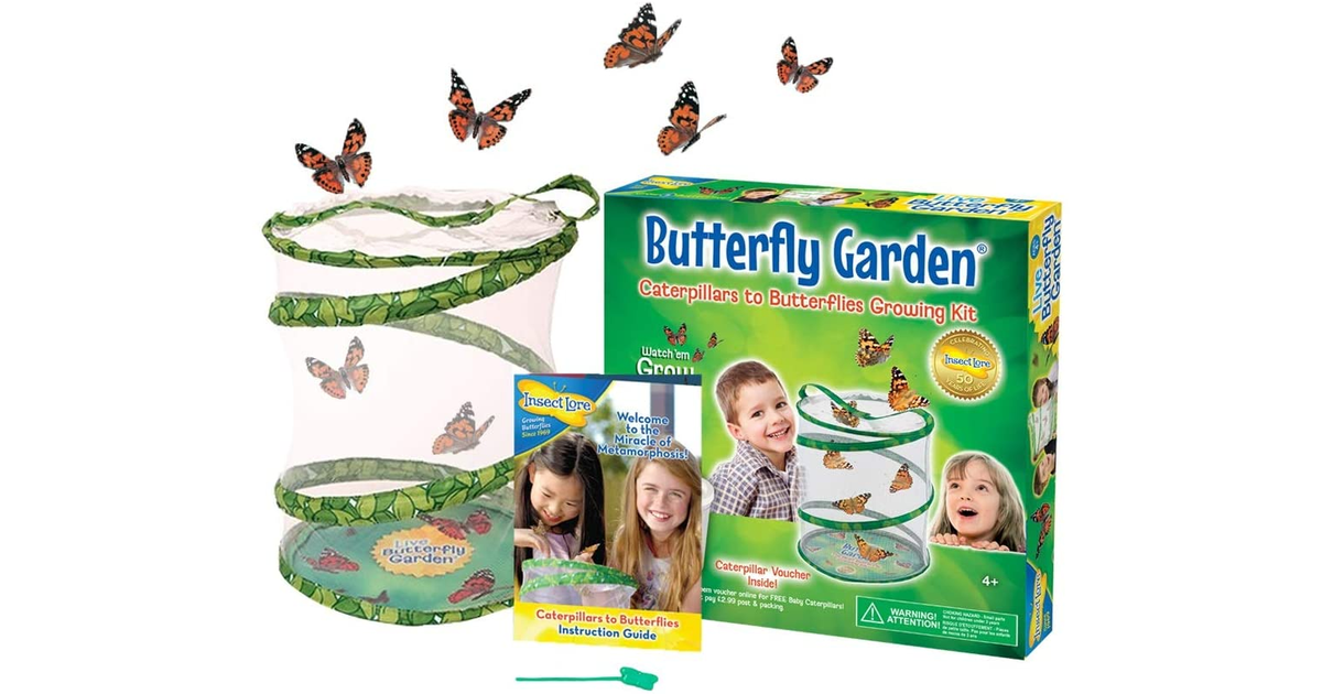 Insect Lore Butterfly Garden (Packaging May Vary)