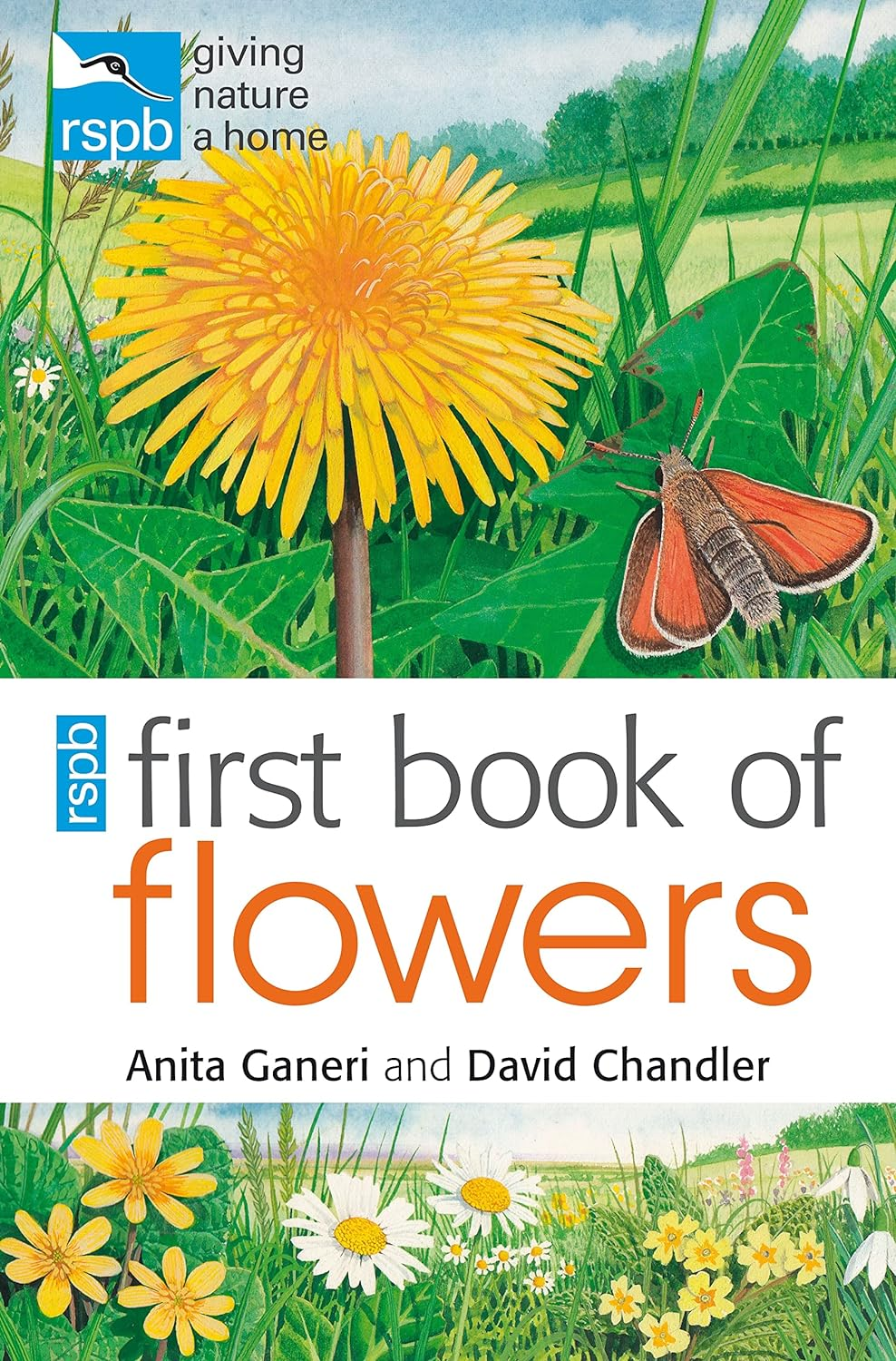 RSPB First Book of Flowers the New
