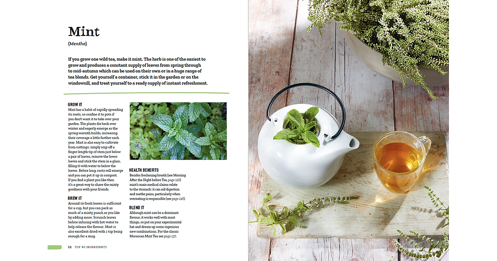 Thumbnail: Wild Tea: Brew Your Own Infusions from Home-Grown and Foraged Ingredients new ne