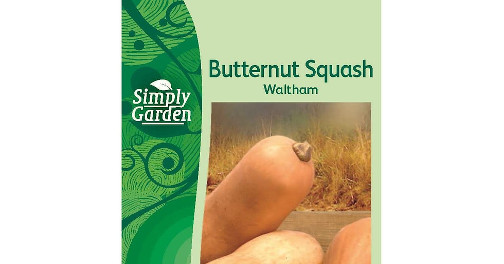 Thumbnail: Simply Garden Vegetable Seeds Variety Pack 4 Types Lettuce Tomato Cucumber Onion