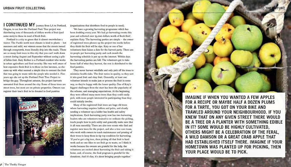 Thumbnail: The Thrifty Forager: Living off Your Local Landscape New