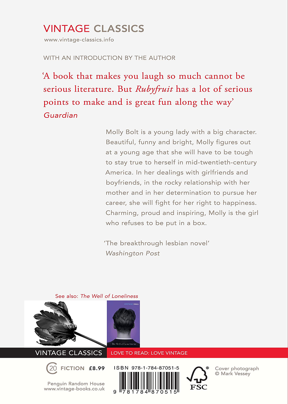 Thumbnail: Rubyfruit Jungle (Vintage Classics) .book