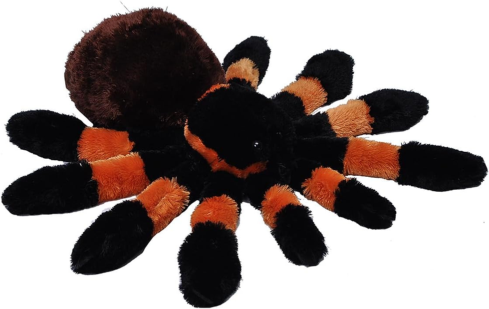 Thumbnail: Tarantula Plush Soft Toy, Cuddlekins Cuddly Gifts for Kids ,Black,30 Cm