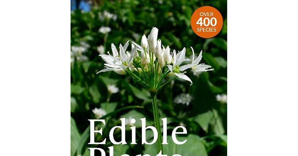 Edible Plants: a Forager'S Guide the Plants and Seaweeds of Britain, Ireland and