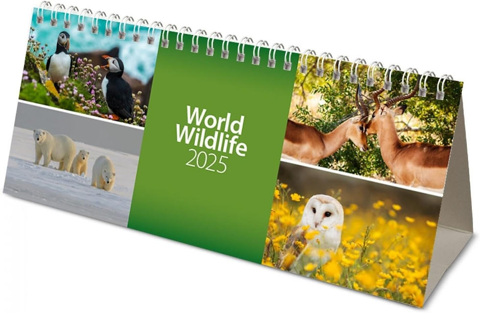 2025 World Wildlife Desk Calendar (CL08)