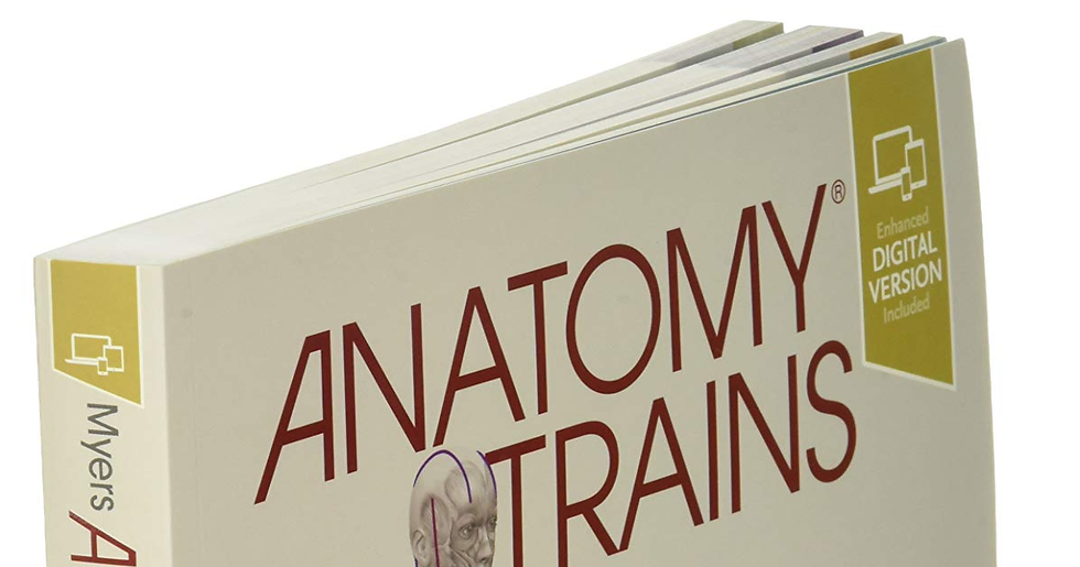 Thumbnail: Anatomy Trains: Myofascial Meridians for Manual Therapists and Movement Professi