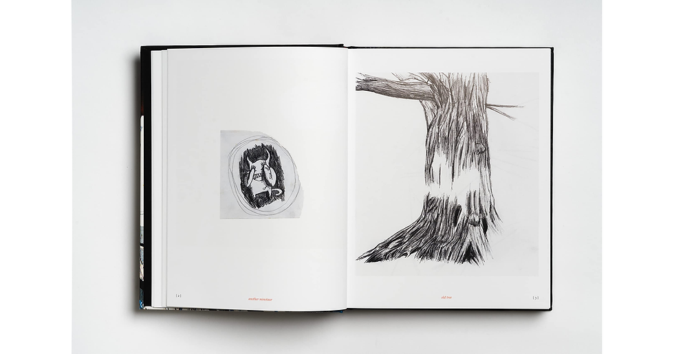 Thumbnail: Kid a Mnesia: a Book of Radiohead Artwork