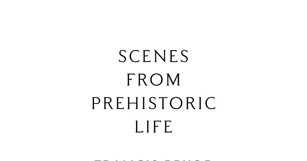 Scenes from Prehistoric Life: from the Ice Age to the Coming of the Romans