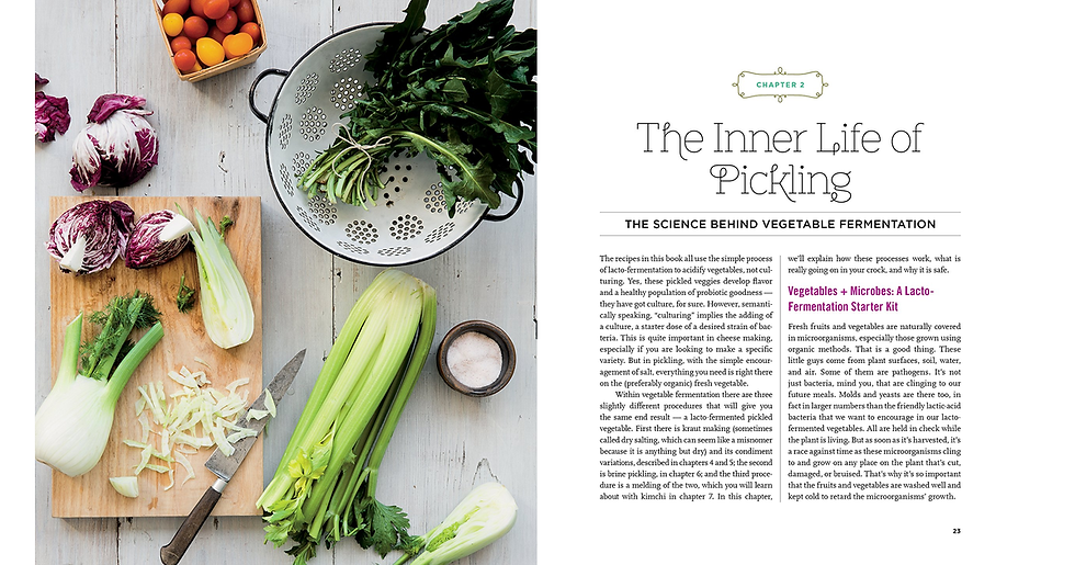 Thumbnail: Fermented Vegetables: Creative Recipes for Fermenting 64 Vegetables & Herbs: Cre