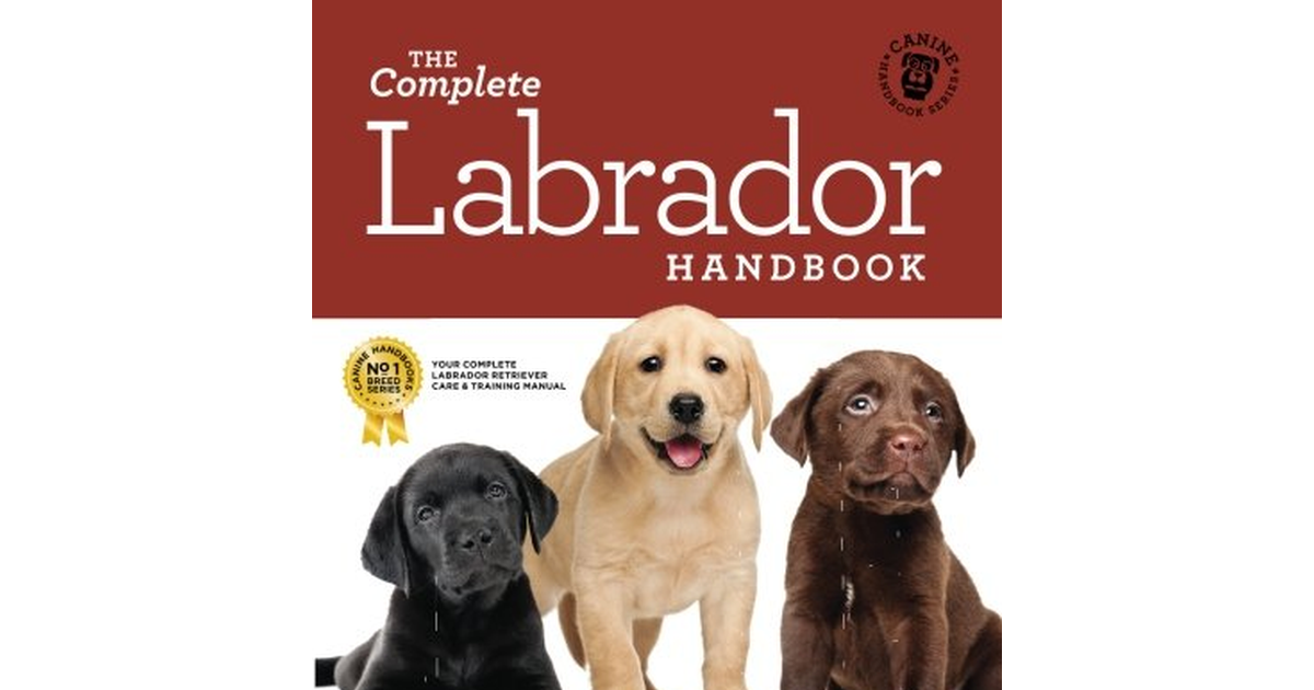 The Complete Labrador Handbook: the Essential Guide for New & Prospective Labrad