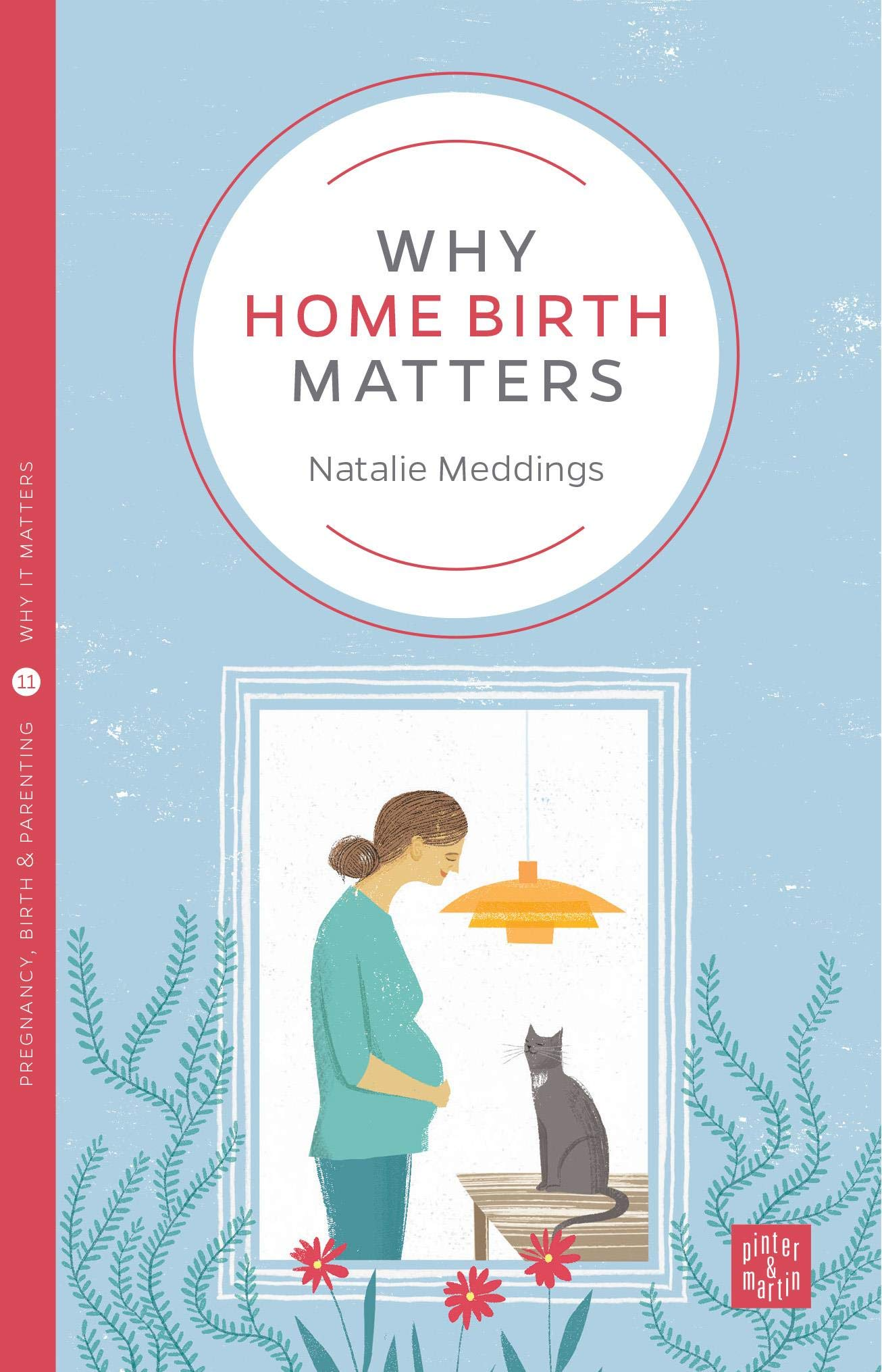 Why Home Birth Matters (Pinter & Martin Why It Matters: 11) a new book