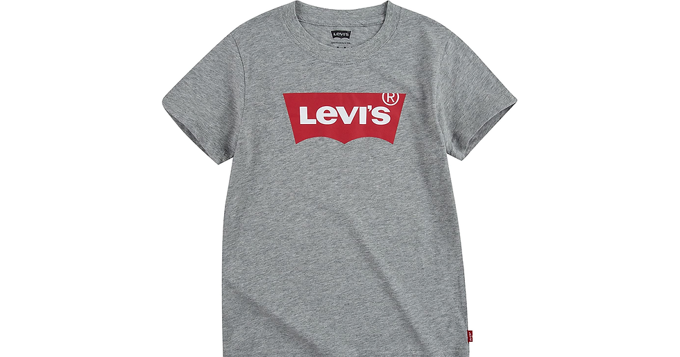 Thumbnail: Levi'S Kids - Lvb Batwing Tee - Boys T-Shirt